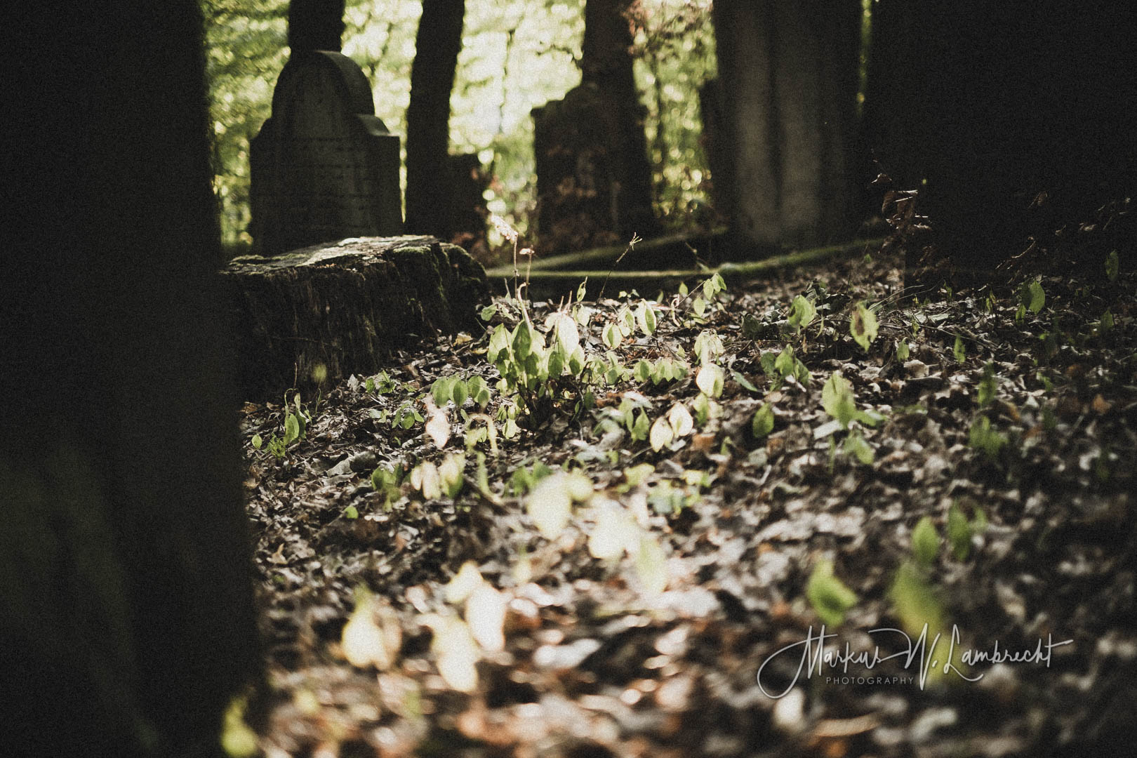 Rotenburg an der Fulda